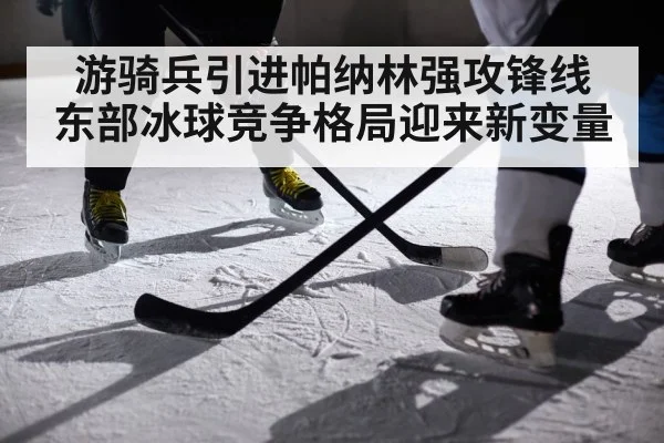 游骑兵引进帕纳林强攻锋线 东部冰球竞争格局迎来新变量